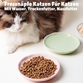 Keramische voerbakken voor katten, 6-delige set, pastelkleuren, platte kommen