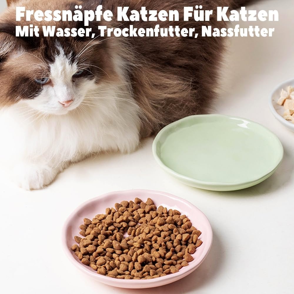 Keramische voerbakken voor katten, 6-delige set, pastelkleuren, platte kommen