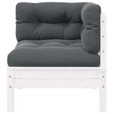 Tuinbank 2-zits Grenenhout Wit met Kussens - 35% Korting!
