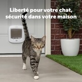 Kattenluik met Microchip RFID - 29% Korting
