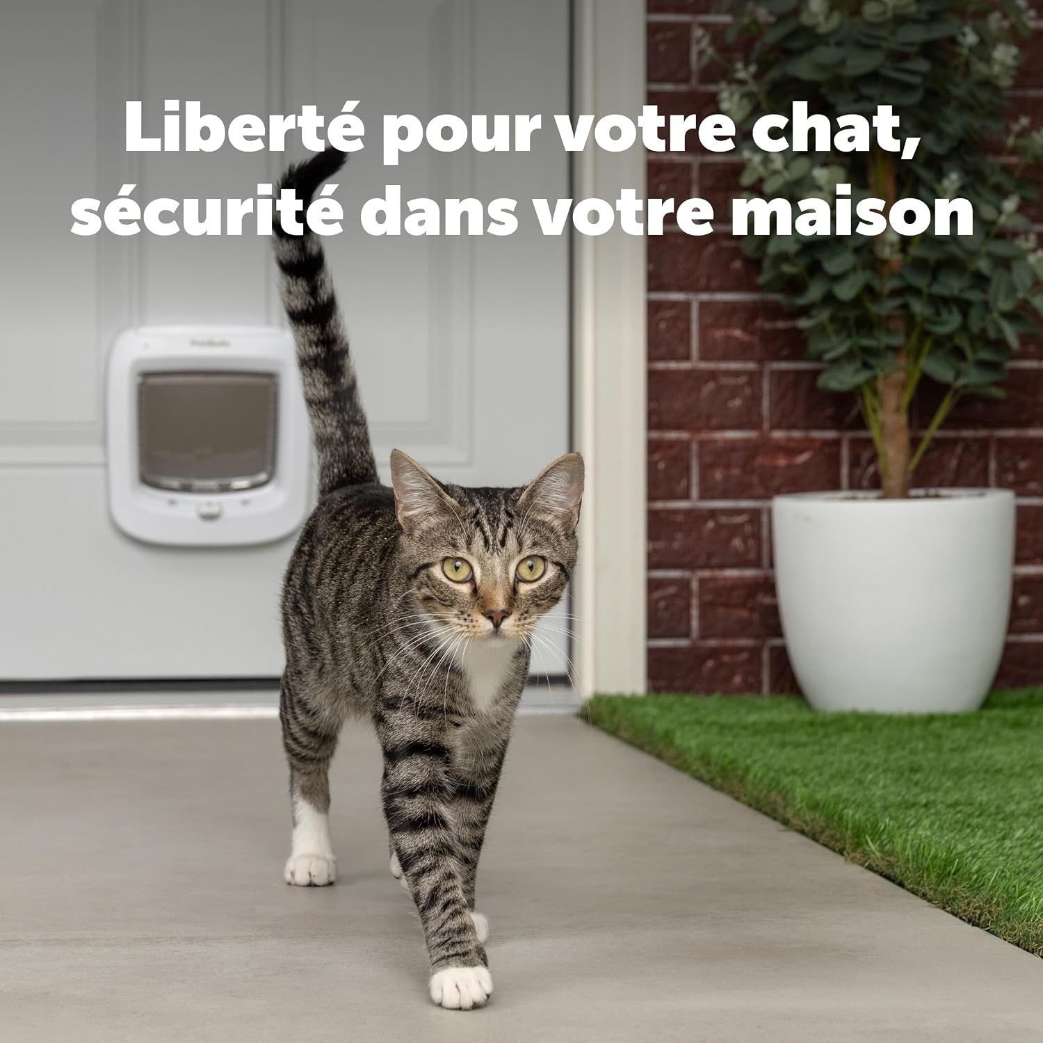Kattenluik met Microchip RFID - 29% Korting