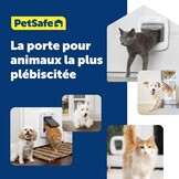 Kattenluik met Microchip RFID - 29% Korting