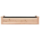 Verhoogde Houten Plantenbak 120x45x25 cm met Voering - 53% Korting