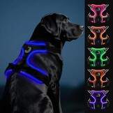 Joytale LED Hondentuig - Oplaadbaar - Maat L - Zwart-Blauw