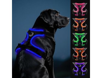 Joytale LED Hondentuig - Oplaadbaar - Maat L - Zwart-Blauw