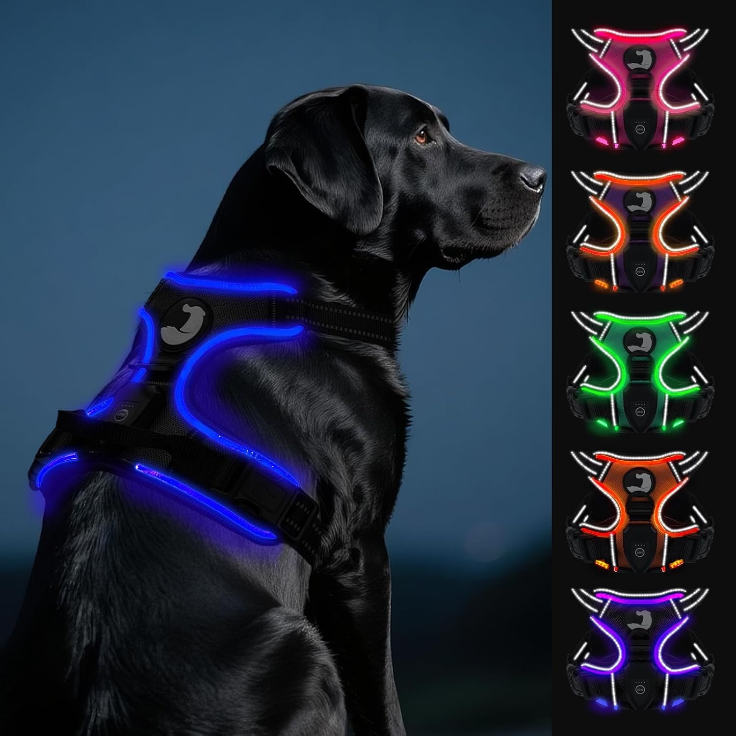 Joytale LED Hondentuig - Oplaadbaar - Maat L - Zwart-Blauw