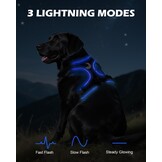 Joytale LED Hondentuig - Oplaadbaar - Maat L - Zwart-Blauw
