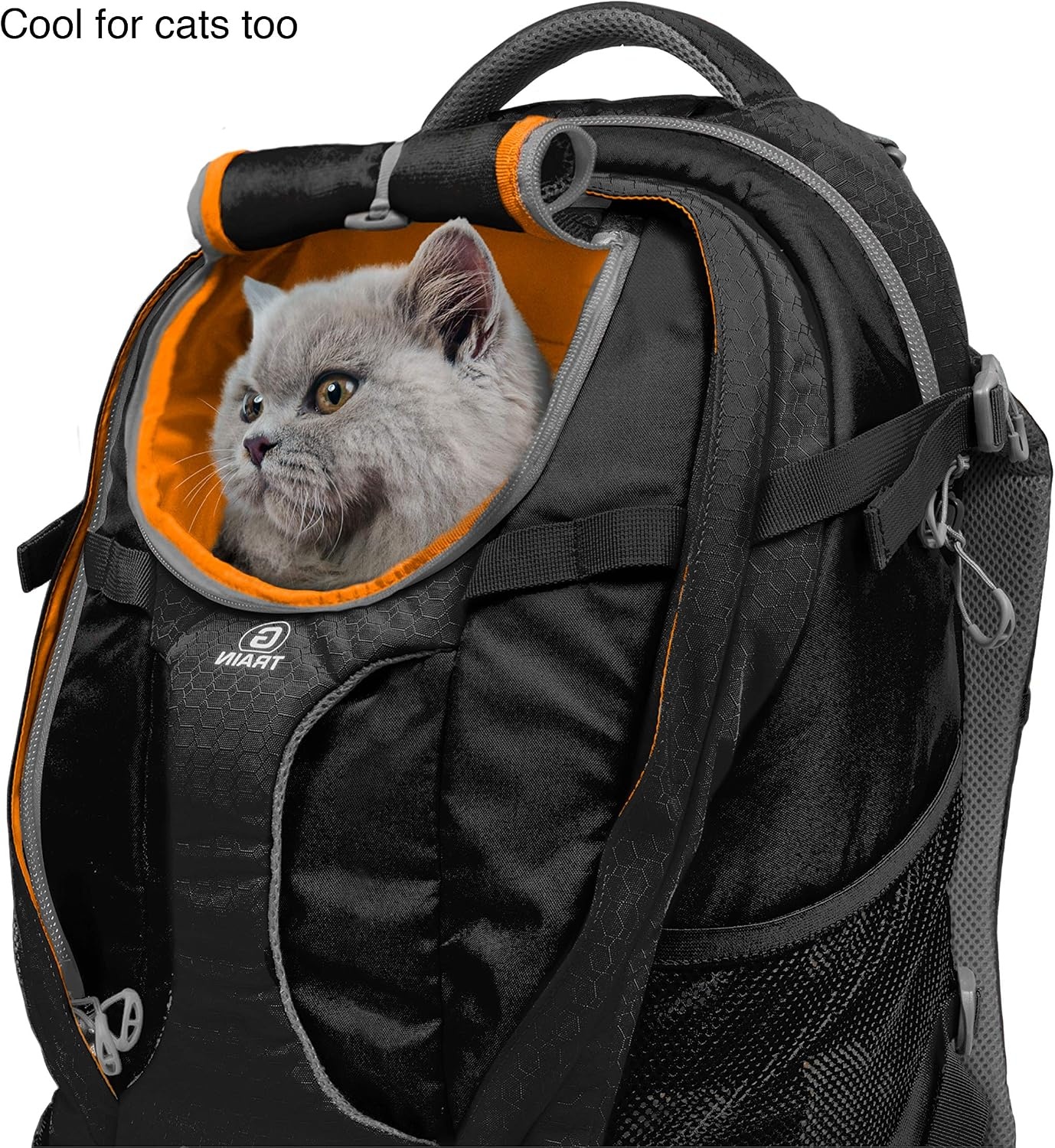 Kurgo G-Train Dog Carrier Backpack - Comfortable Travel Bag for Pets Up to 11 kg - Waterproof Bottom - Multi-Compartment Pack - Dog Hiking Gear - Rugged Adventure Backpack - Navy Blue