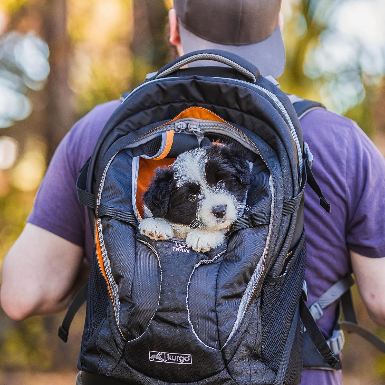 Kurgo G-Train Dog Carrier Backpack - Comfortable Travel Bag for Pets Up to 11 kg - Waterproof Bottom - Multi-Compartment Pack - Dog Hiking Gear - Rugged Adventure Backpack - Navy Blue
