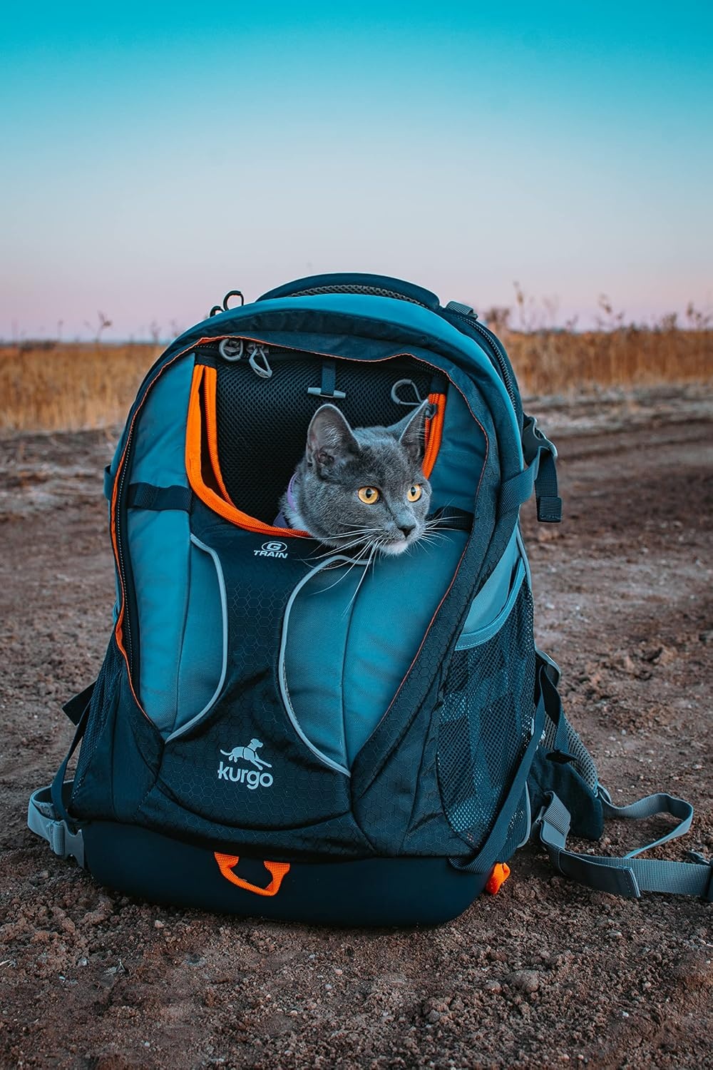 Kurgo G-Train Dog Carrier Backpack - Comfortable Travel Bag for Pets Up to 11 kg - Waterproof Bottom - Multi-Compartment Pack - Dog Hiking Gear - Rugged Adventure Backpack - Navy Blue