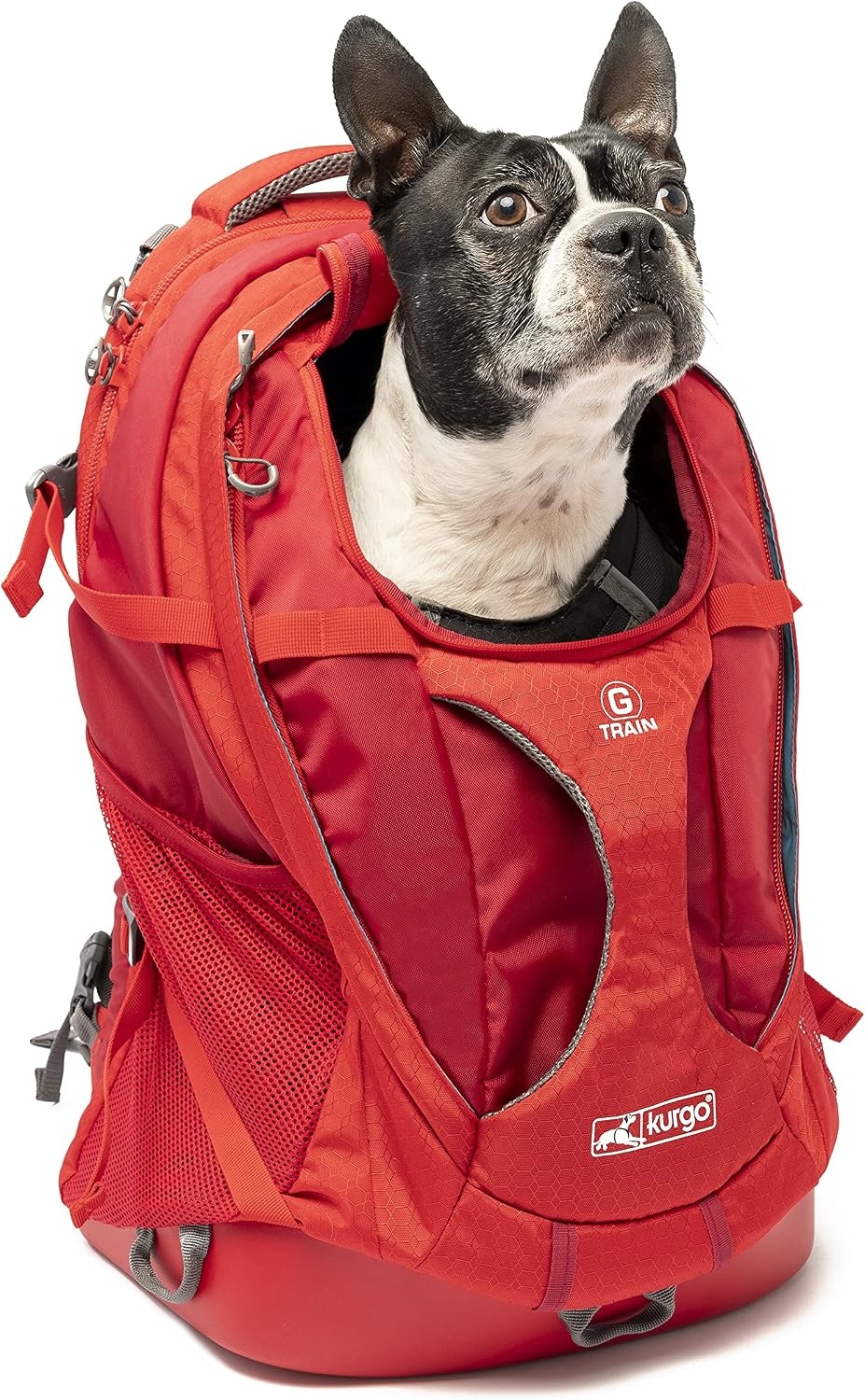 Kurgo G-Train Dog Carrier Backpack - Comfortable Travel Bag for Pets Up to 11 kg - Waterproof Bottom - Multi-Compartment Pack - Dog Hiking Gear - Rugged Adventure Backpack - Navy Blue