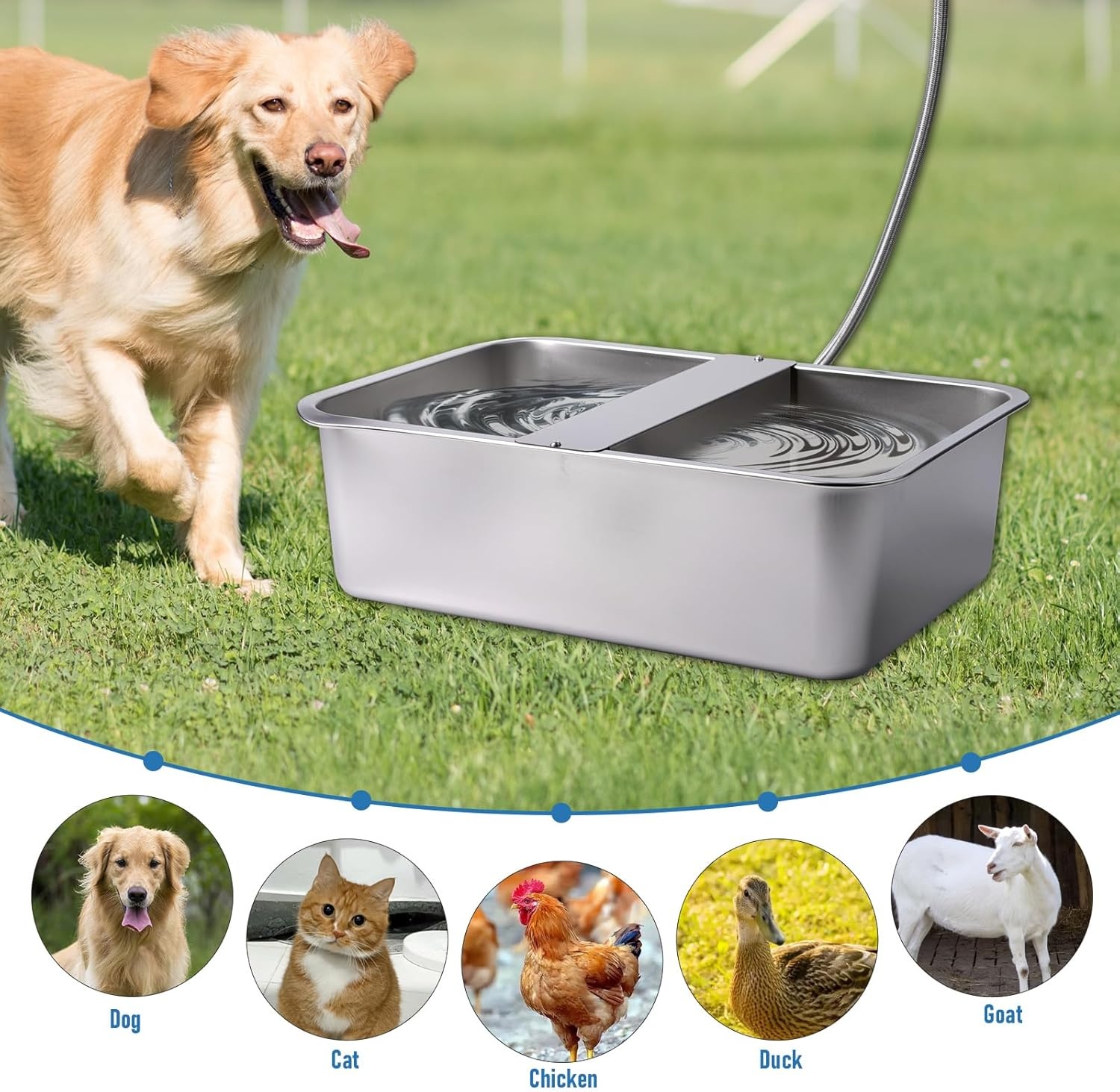 Automatische Waterdispenser 25L Roestvrijstaal - Groot Huisdier