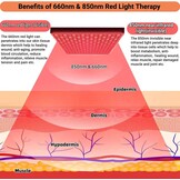 Roodlichttherapielamp 225 LED's met 30% Korting