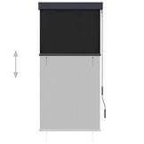 vidaXL Buiten Rolgordijn 80x250 cm Antraciet - 60% Korting