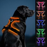 Joytale Oplichtend Hondentuig - No-Pull - USB Oplaadbaar - Oranje - Maat Large