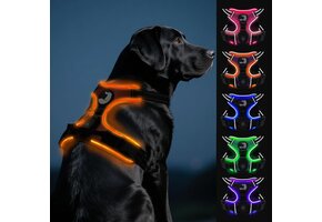 Oplichtend Hondentuig No-Pull Oranje Large - 44% Korting!