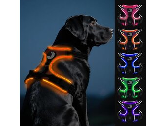 Joytale Oplichtend Hondentuig - No-Pull - USB Oplaadbaar - Oranje - Maat Large
