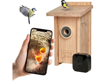 Little Birds Nestkast voor "Blink"-camera (geen stroom of kabel nodig), ecologisch massief hout, katten- en spechtenbescherming, broedkast, camera, vogelhuis, camera niet inbegrepen