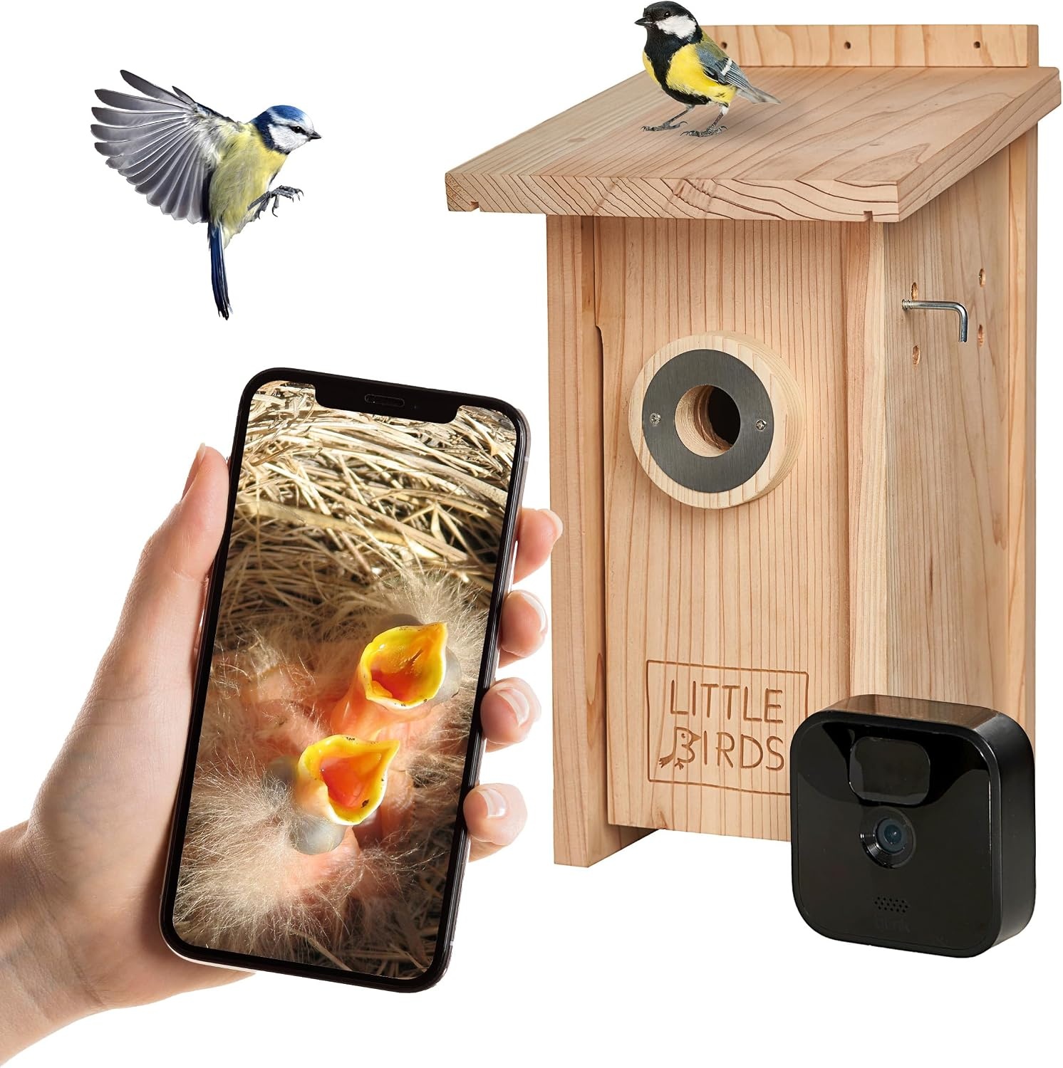 Little Birds Nestkast voor "Blink"-camera (geen stroom of kabel nodig), ecologisch massief hout, katten- en spechtenbescherming, broedkast, camera, vogelhuis, camera niet inbegrepen