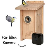 Little Birds Nestkast voor "Blink"-camera (geen stroom of kabel nodig), ecologisch massief hout, katten- en spechtenbescherming, broedkast, camera, vogelhuis, camera niet inbegrepen