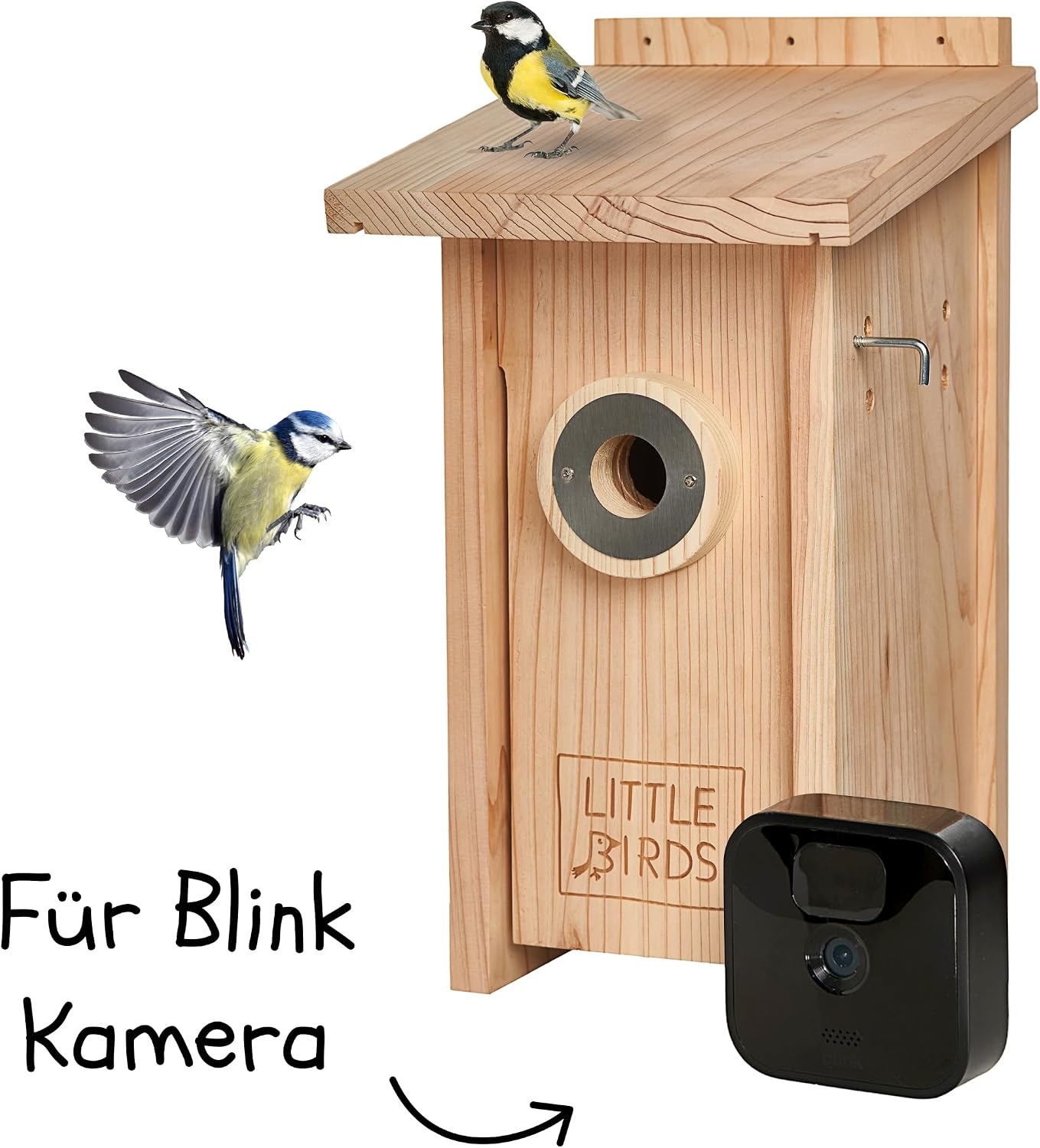 Little Birds Nestkast voor "Blink"-camera (geen stroom of kabel nodig), ecologisch massief hout, katten- en spechtenbescherming, broedkast, camera, vogelhuis, camera niet inbegrepen