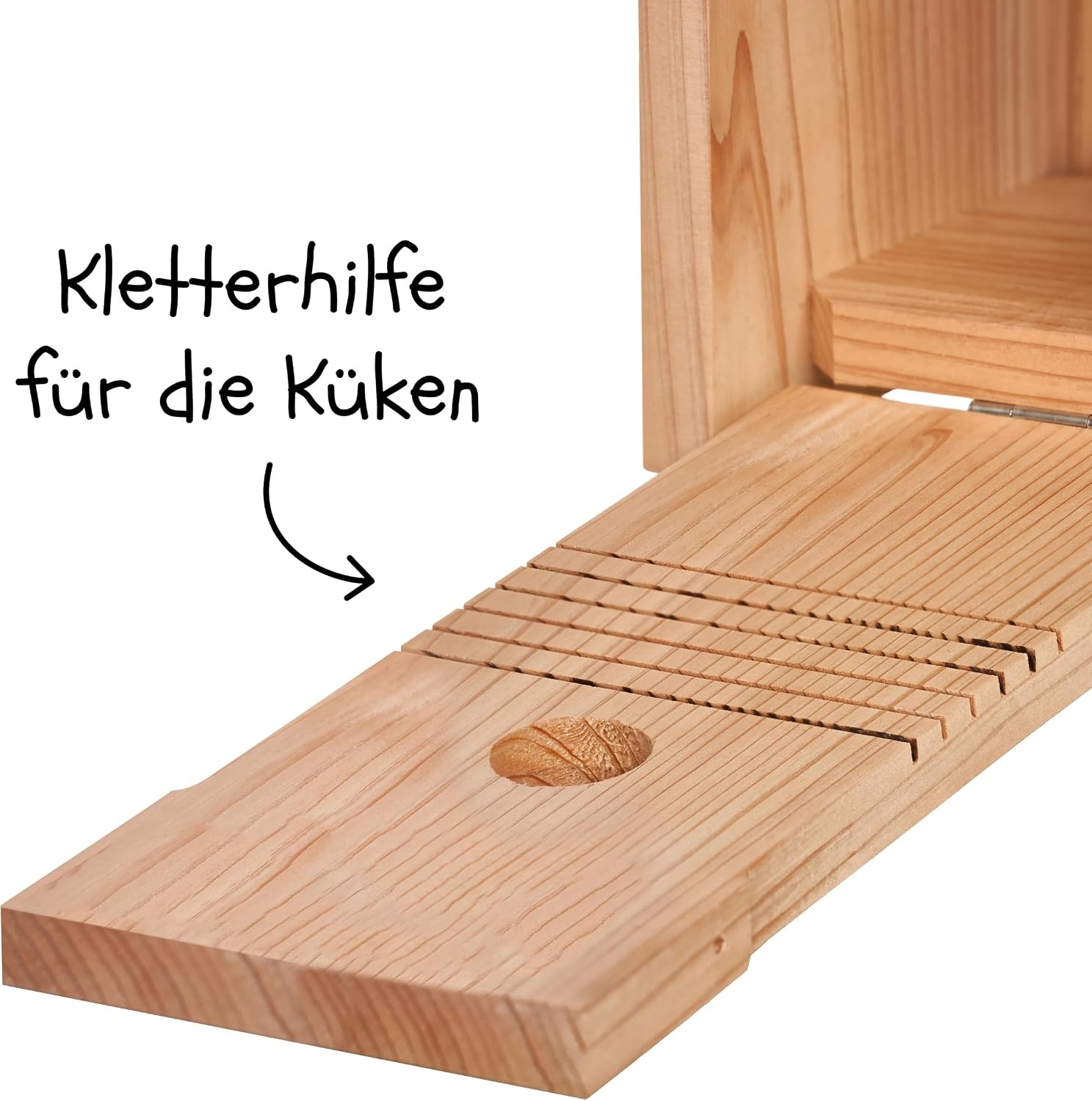 Little Birds Nestkast voor "Blink"-camera (geen stroom of kabel nodig), ecologisch massief hout, katten- en spechtenbescherming, broedkast, camera, vogelhuis, camera niet inbegrepen