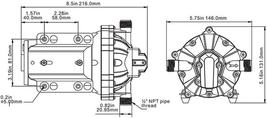 BRAND NEW SEAFLO 55 Series Diaphragm Pump - 12V DC, 5.5 GPM, 60 PSI with HEAVY DUTY PRESSURE SWITCH