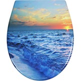 Duroplast Toilet Seat Soft Close -Quick Release Toilet Lid with Top Fixing,Various Patterns to Choose from (UF819-02)
