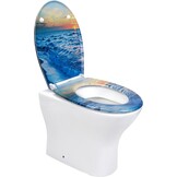 Duroplast Toilet Seat Soft Close -Quick Release Toilet Lid with Top Fixing,Various Patterns to Choose from (UF819-02)