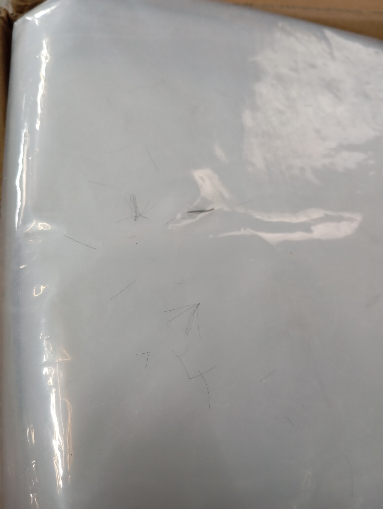 vidaXL Plantenafdekking 3x8 m Polyethyleen - 61% Korting