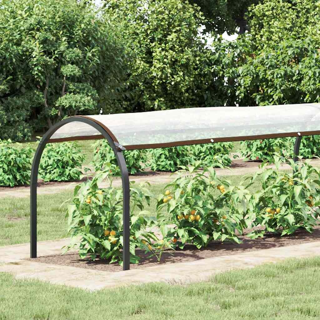 Doorzichtig Zeildoek 1x12m - Bescherming met Korting!
