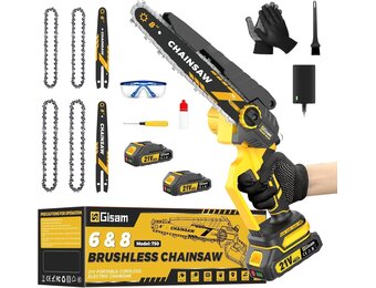 Mini Chainsaw with 1000W Brushless Motor, 8" & 6" Chainsaw, Automatic Oil Supply & Toolless Chain Tension and 2*2000mAh for Branching & Woodcarving