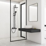Douchepaneel - met Regendouche 20cm - en Handdouche - Zwart