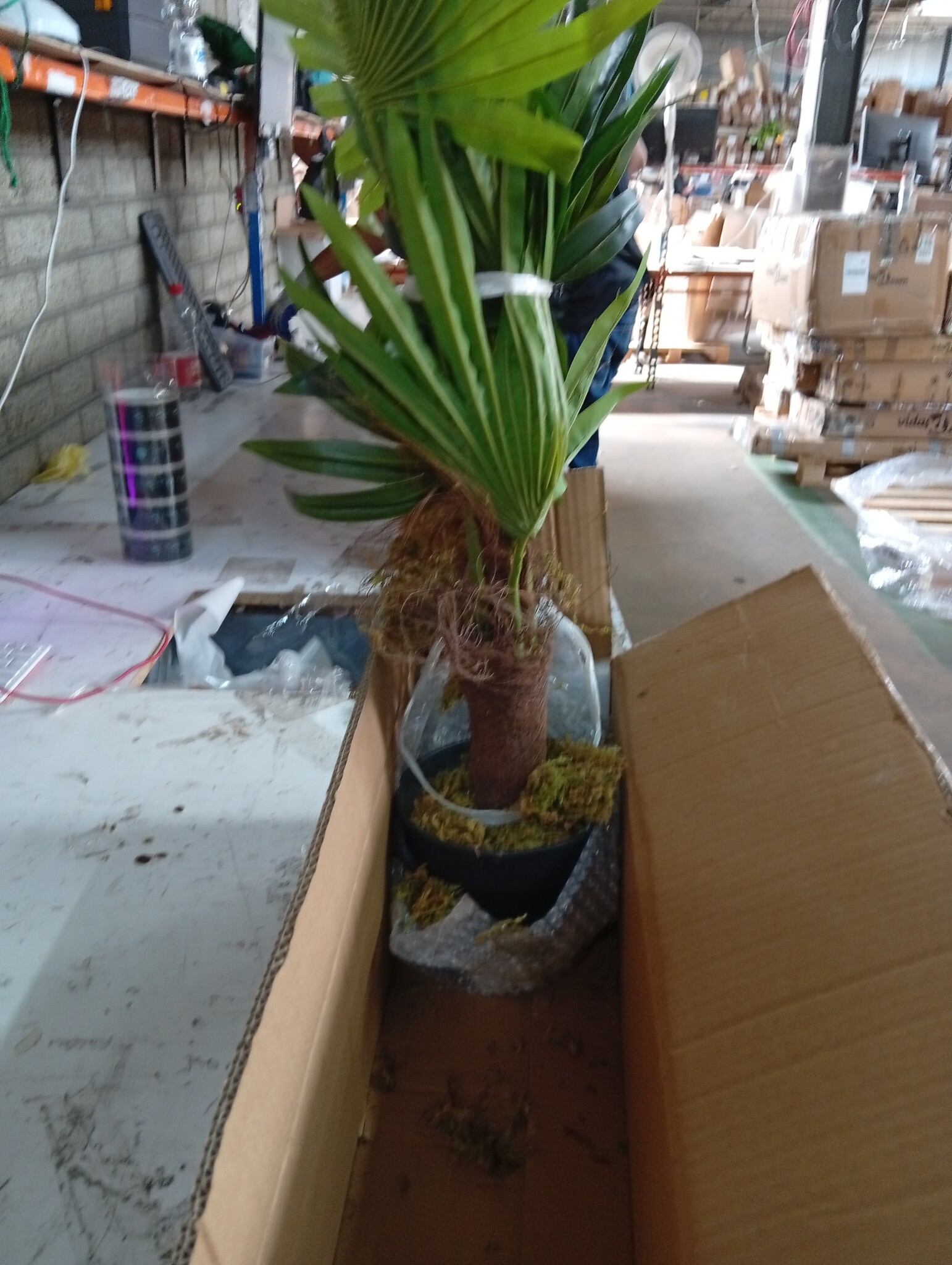 vidaXL Kunstplant met pot palm 70 cm groen