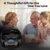 LP-D03 Draagbare FM-radio met Bluetooth, stereo, met kristalhelder geluid, MP3-afspelen, USB- en AUX-ingang, hoofdtelefoonaansluiting, lcd-display