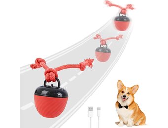 Interactive Dog Toys, Interactive Dog Toy Toy, Electric Dog Ball with Chew Laces, Dog Toy Ball with Bird Sounds, USB Rechargeable Ideal for Small Dogs and Puppies (New