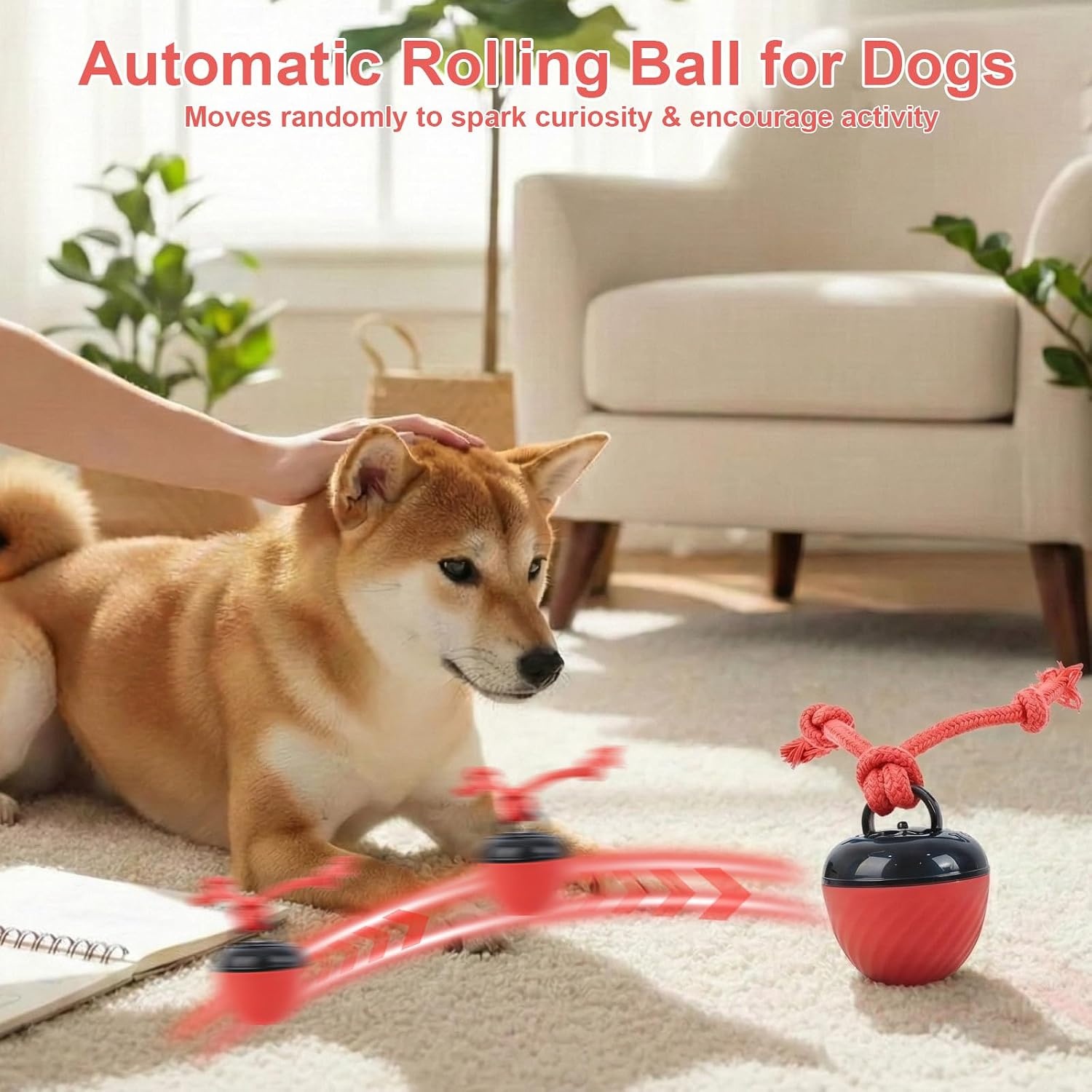Interactive Dog Toys, Interactive Dog Toy Toy, Electric Dog Ball with Chew Laces, Dog Toy Ball with Bird Sounds, USB Rechargeable Ideal for Small Dogs and Puppies (New