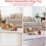 Interactive Dog Toys, Interactive Dog Toy Toy, Electric Dog Ball with Chew Laces, Dog Toy Ball with Bird Sounds, USB Rechargeable Ideal for Small Dogs and Puppies (New