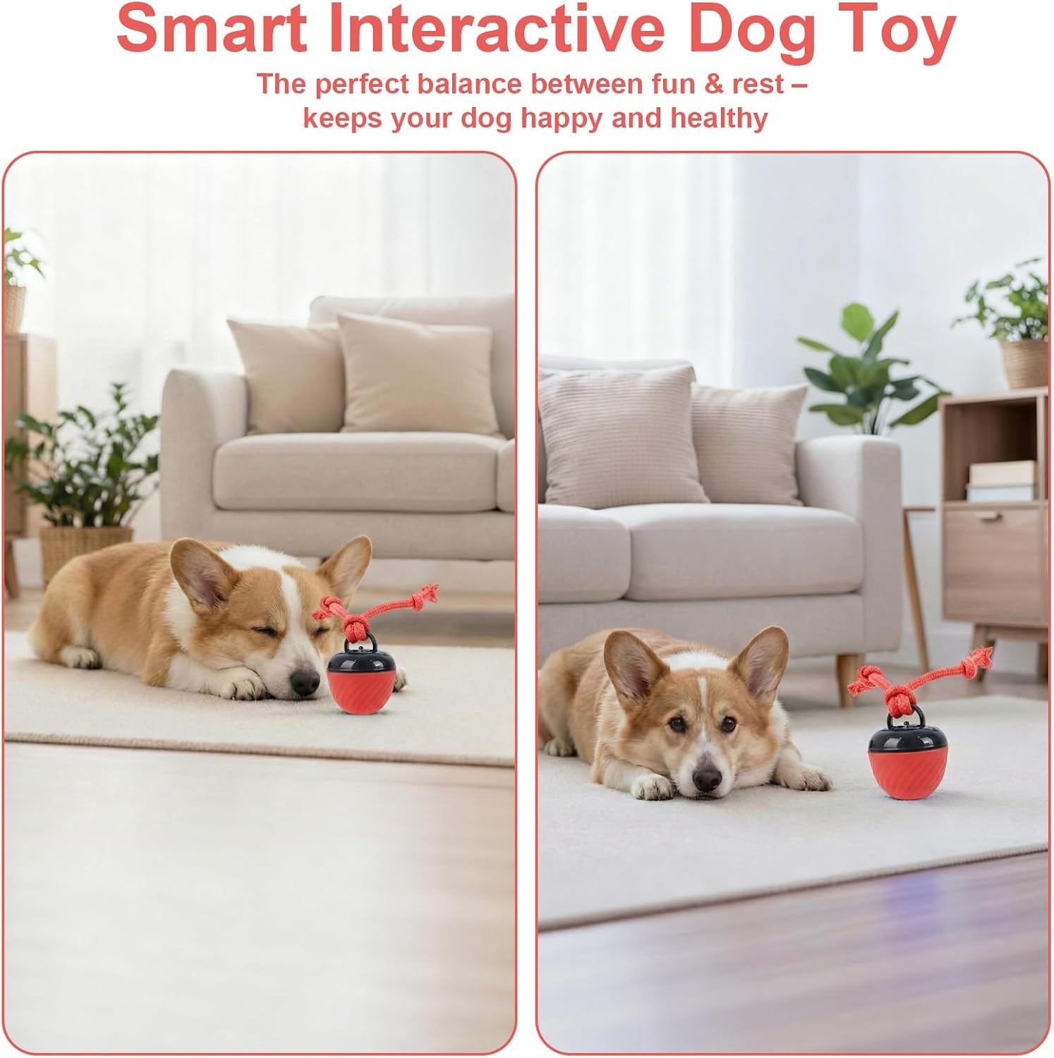 Interactive Dog Toys, Interactive Dog Toy Toy, Electric Dog Ball with Chew Laces, Dog Toy Ball with Bird Sounds, USB Rechargeable Ideal for Small Dogs and Puppies (New