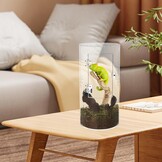 Terraria voor reptielen, mini-terrarium, complete set, waterdicht, acryl, vivarium, cilindrisch, faunabox met voordeur voor kleine reptielen, kikker, springspinnen, bidan, gekkoslakken