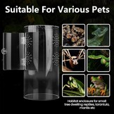 Terraria voor reptielen, mini-terrarium, complete set, waterdicht, acryl, vivarium, cilindrisch, faunabox met voordeur voor kleine reptielen, kikker, springspinnen, bidan, gekkoslakken