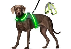 Hondenharnas met LED-verlichting & Anti-trek, USB-oplaadbaar, 40% Korting