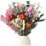 30 stuks gedroogde bloemen set - 10 soorten voor decoratie & DIY
