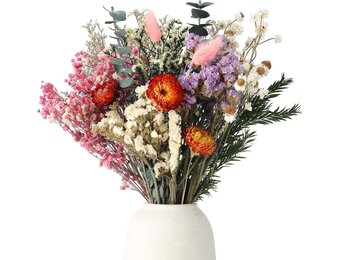 30 stuks gedroogde bloemen set - 10 soorten voor decoratie & DIY