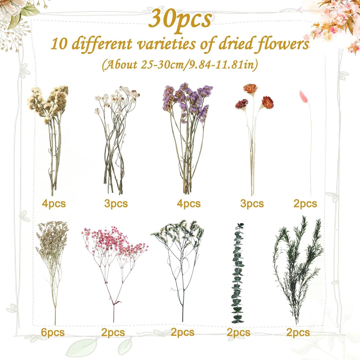 30 stuks gedroogde bloemen set - 10 soorten voor decoratie & DIY