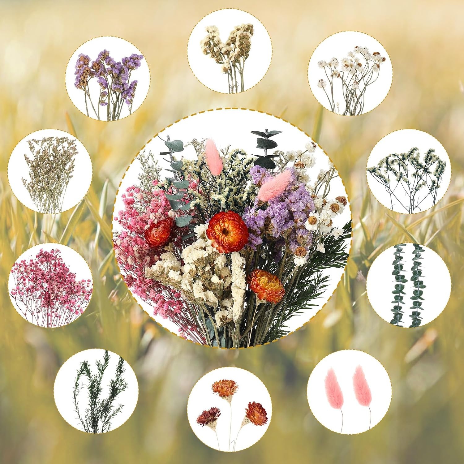 30 stuks gedroogde bloemen set - 10 soorten voor decoratie & DIY