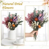 30 stuks gedroogde bloemen set - 10 soorten voor decoratie & DIY
