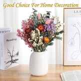 30 stuks gedroogde bloemen set - 10 soorten voor decoratie & DIY
