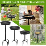 Vogelbad & Voeder voor Buiten - 70cm Hoog - 32% Korting