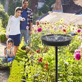 Vogelbad & Voeder voor Buiten - 70cm Hoog - 32% Korting
